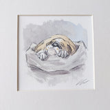 Catching forty winks