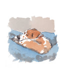 Sleeping Dog