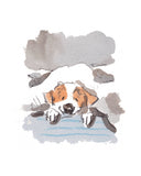 Sleeping happy dog