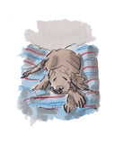Sleeping comfy dog