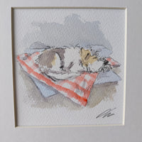 Napping