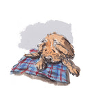 Sleeping dog