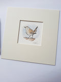 Wren original watercolour