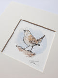 Wren original watercolour
