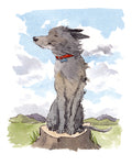 Breezy Wolfhound, 8 x 10 inch giclee print