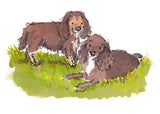 Lyra and Bailey for Sue